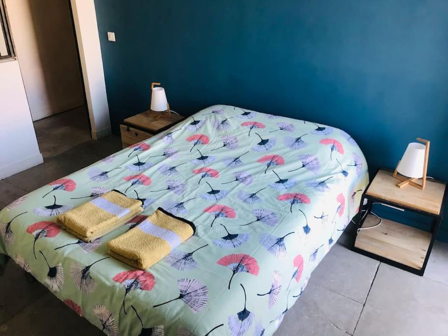 Appartement Climatise 50M2 Une Chambre Proche Centre Et Gare Montpellier Ngoại thất bức ảnh